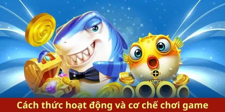 Bí Quyết Chinh Phục Bắn Cá Royal Fishing Tại P3 Đỉnh Cao Giải Trí 2 Bí Quyết Chinh Phục Bắn Cá Royal Fishing Tại P3 Đỉnh Cao Giải Trí