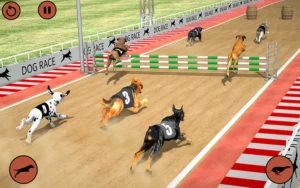 Hướng Dẫn Chinh Phục Game Nhanh Đua Chó Tại P3 Thắng Lớn Tuyệt Đối