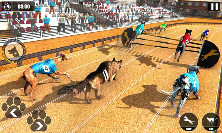 Hướng Dẫn Chinh Phục Game Nhanh Đua Chó Tại P3 Thắng Lớn Tuyệt Đối 2 Hướng Dẫn Chinh Phục Game Nhanh Đua Chó Tại P3 Thắng Lớn Tuyệt Đối