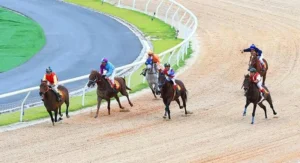 Bí Kíp Thắng Lớn Cá Cược Đua Ngựa P3 Với Chiến Lược Tinh Tế 10 Bí Kíp Thắng Lớn Cá Cược Đua Ngựa P3 Với Chiến Lược Tinh Tế