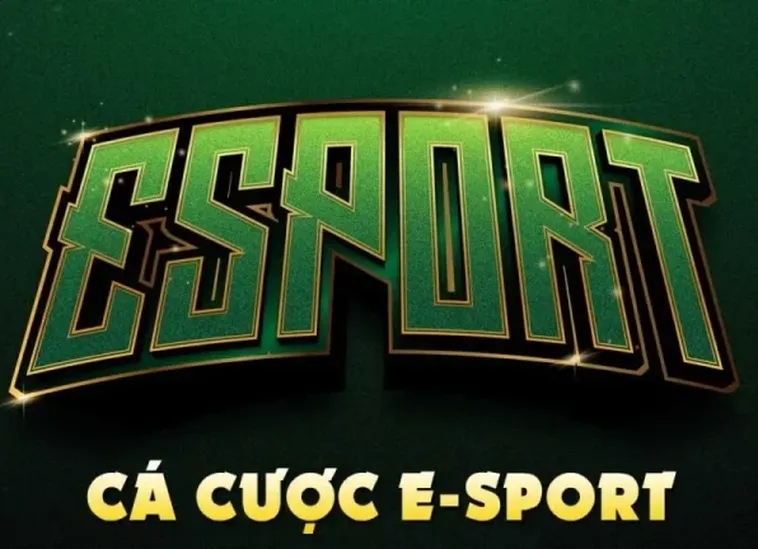 Bí Quyết Chơi Thể Thao Điện Tử P3 Thắng Đậm Nhanh Chóng Hiệu Quả 2 Bí Quyết Chơi Thể Thao Điện Tử P3 Thắng Đậm Nhanh Chóng Hiệu Quả